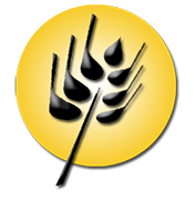 Wheat Logo Harvestime